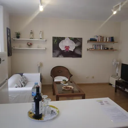 Apartment Ossuna *