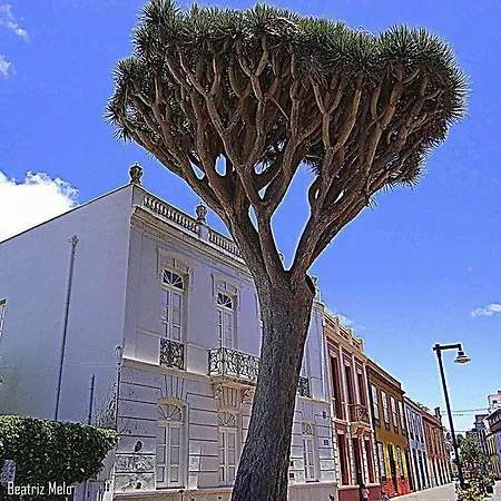 Ossuna Apartment La Laguna (Tenerife)